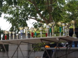 XVI Concentracion - 2009